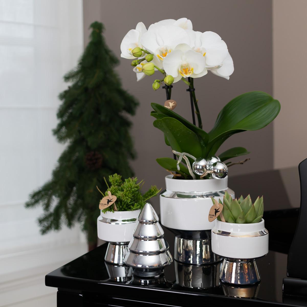 Kolibri Home | Le Chic flowerpot - White ceramic decorative pot with silver details - Ø6cm