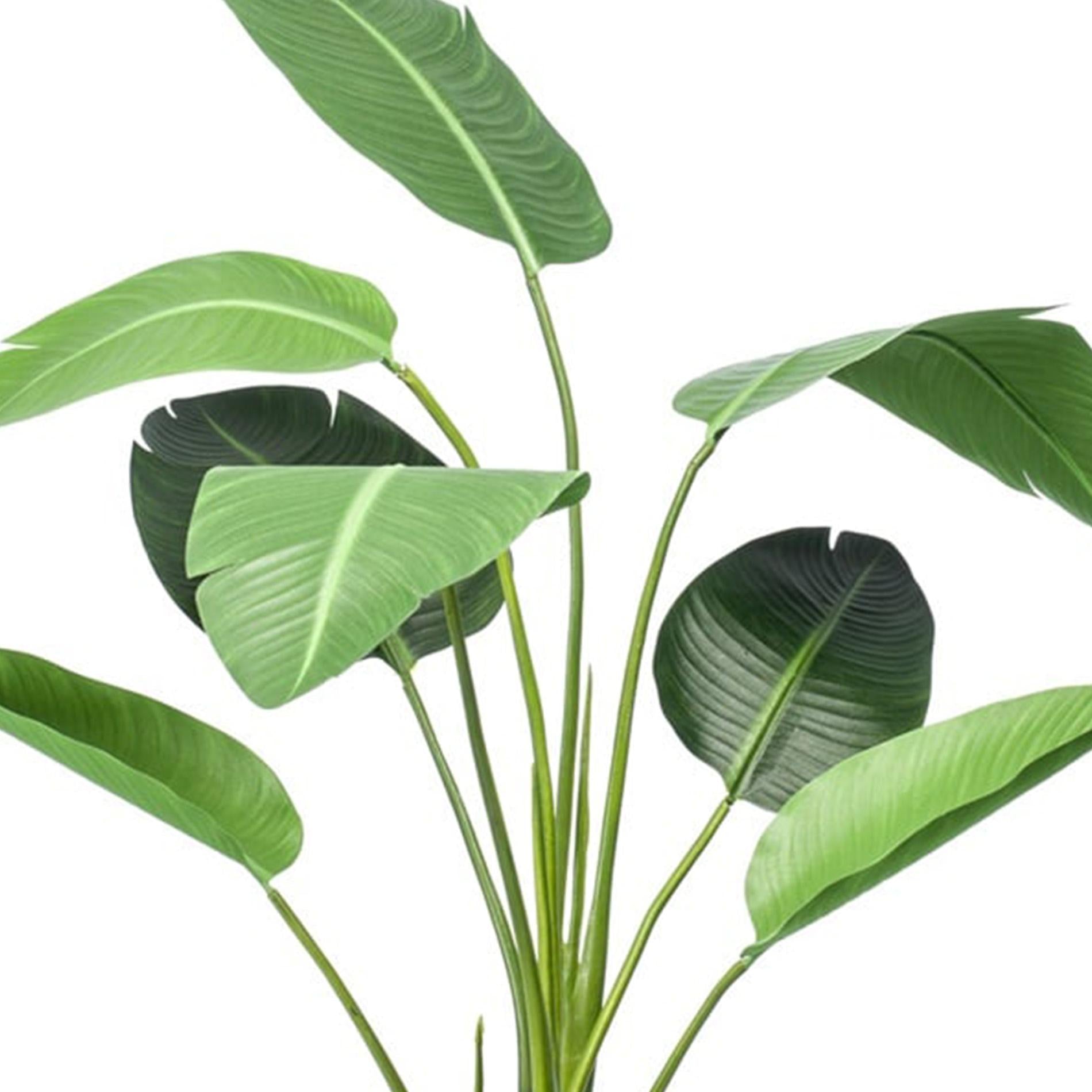 Strelitzia - 120cm - In vaso nero - Pianta artificiale