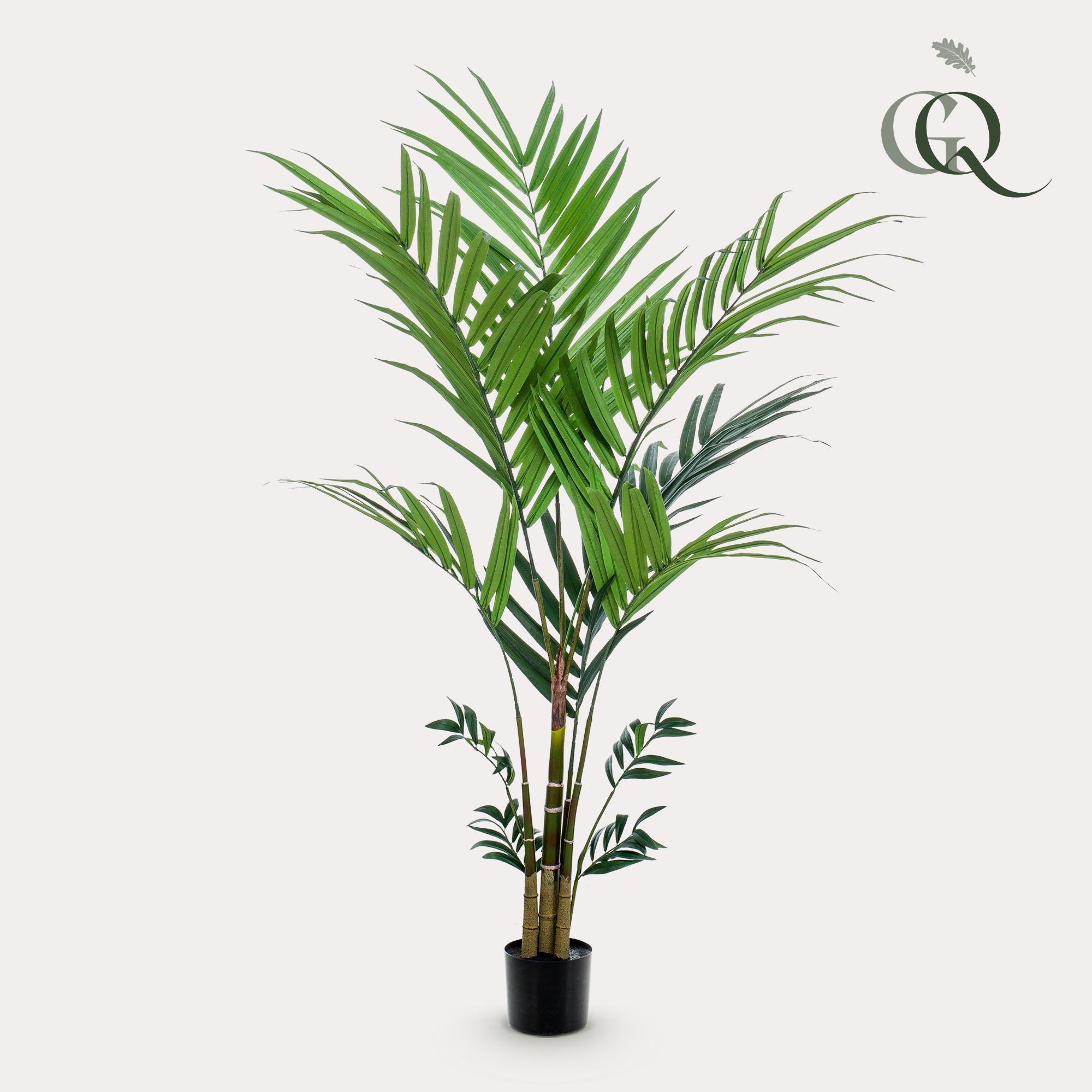 Planta artificial - Kentia - Palma Kentia - 180 cm