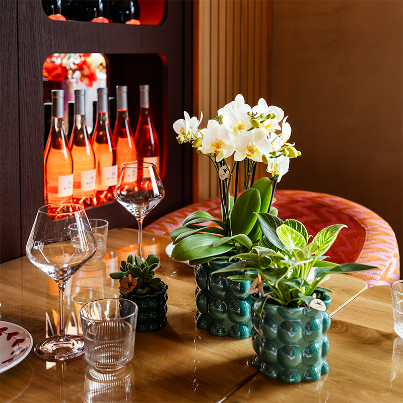 Kolibri Home | Cotton Shine sierpot - Green - Ø12cm