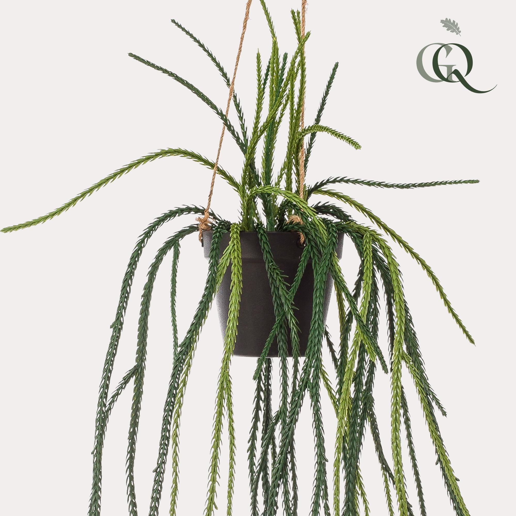 Pianta artificiale - Rhypsalis - Cactus corallo - 85 cm