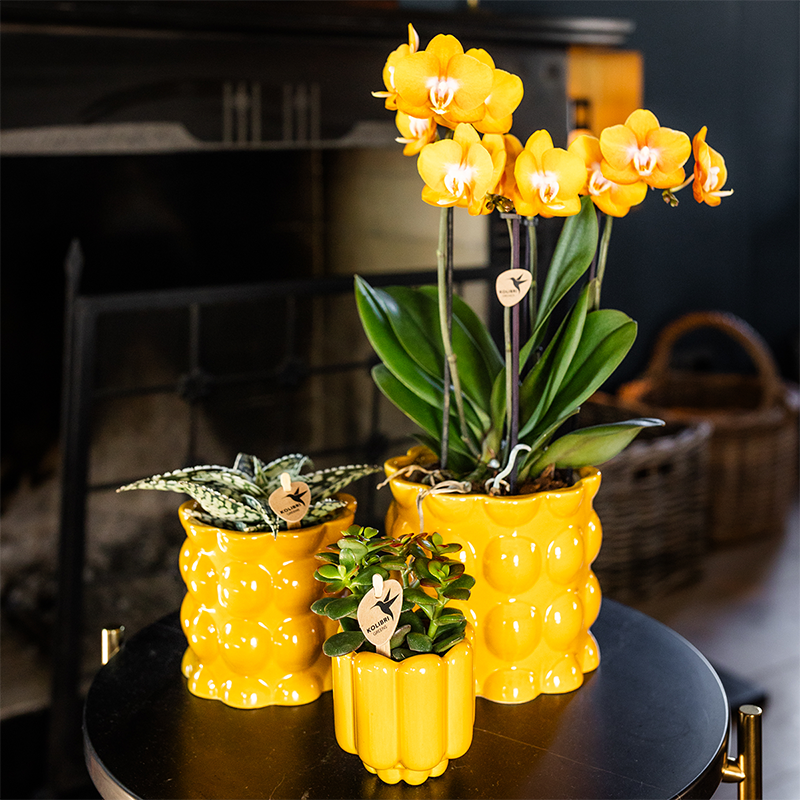 Kolibri Home | Cotton Shine sierpot - Yellow - Ø9cm