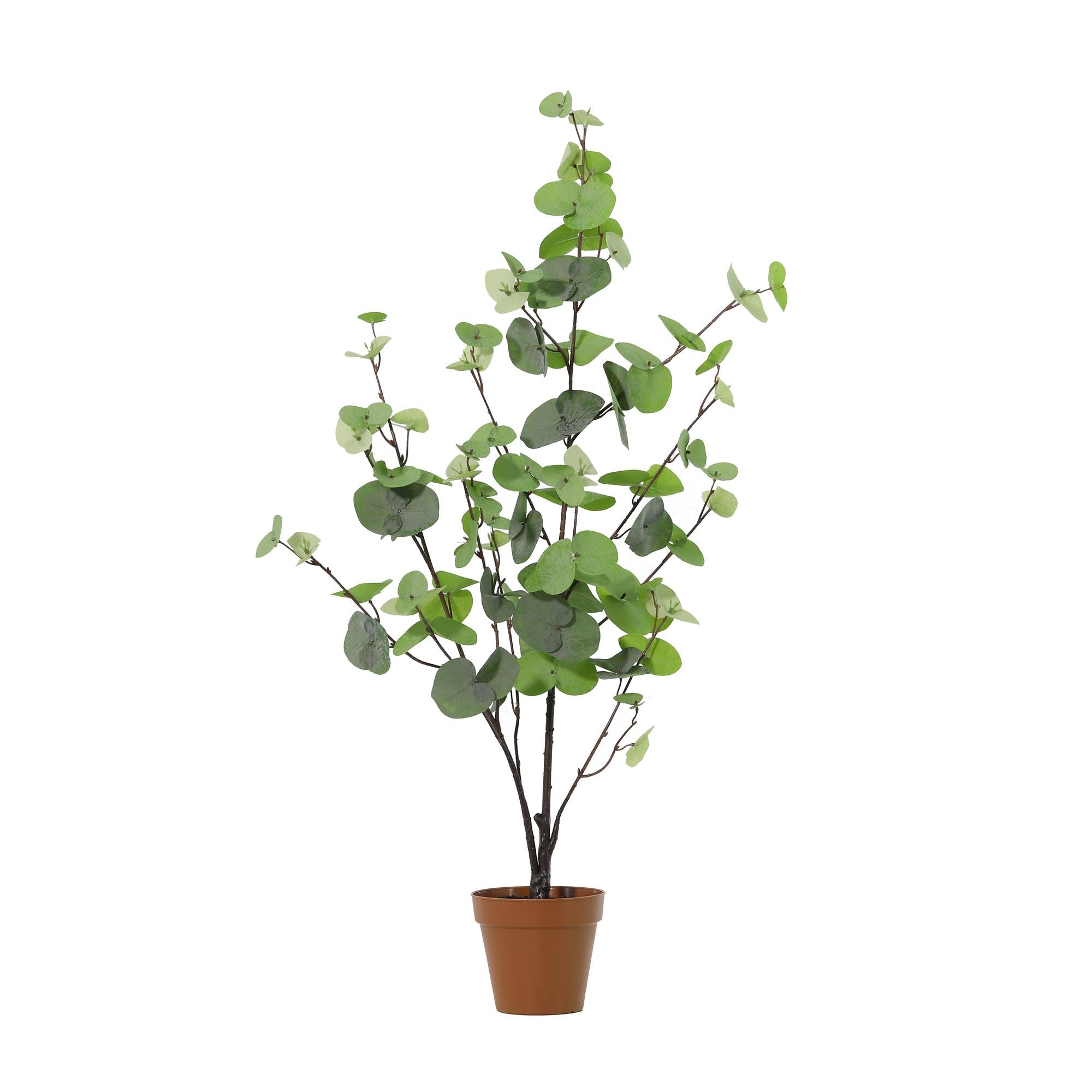 Kunstplant Eucalyptus green - 86cm