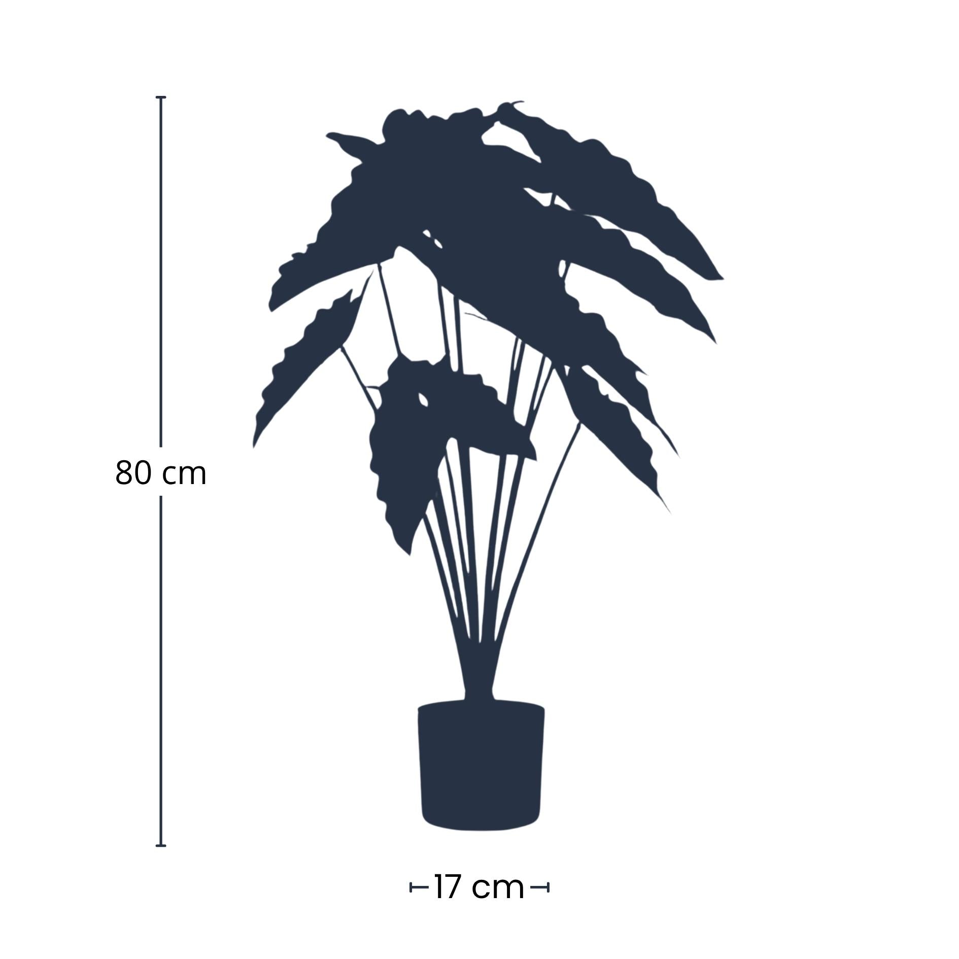 Alocasia 80cm - Pianta artificiale