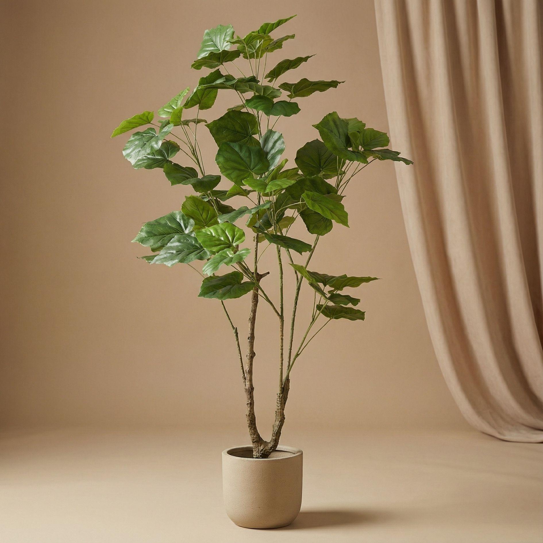 Ficus Schirmbaum 125 cm - Künstliche Pflanze