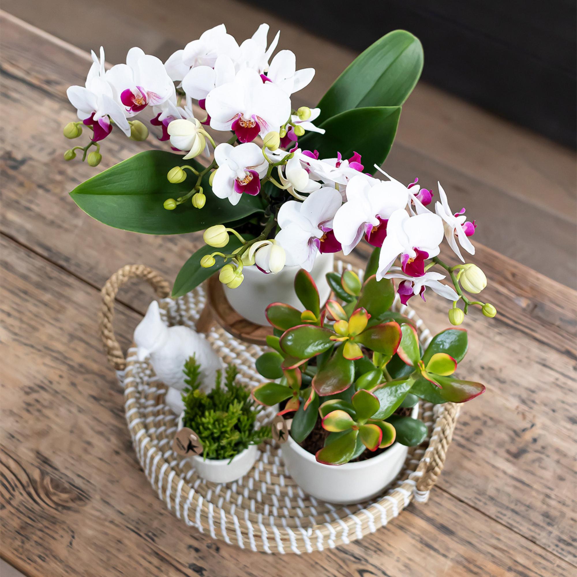 Kolibri Home | Decorative bowl - White woven tray Ø30cm
