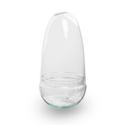 Geschlossenes Terrarium – Glaskuppel – Eiförmig – ↑ 25 cm
