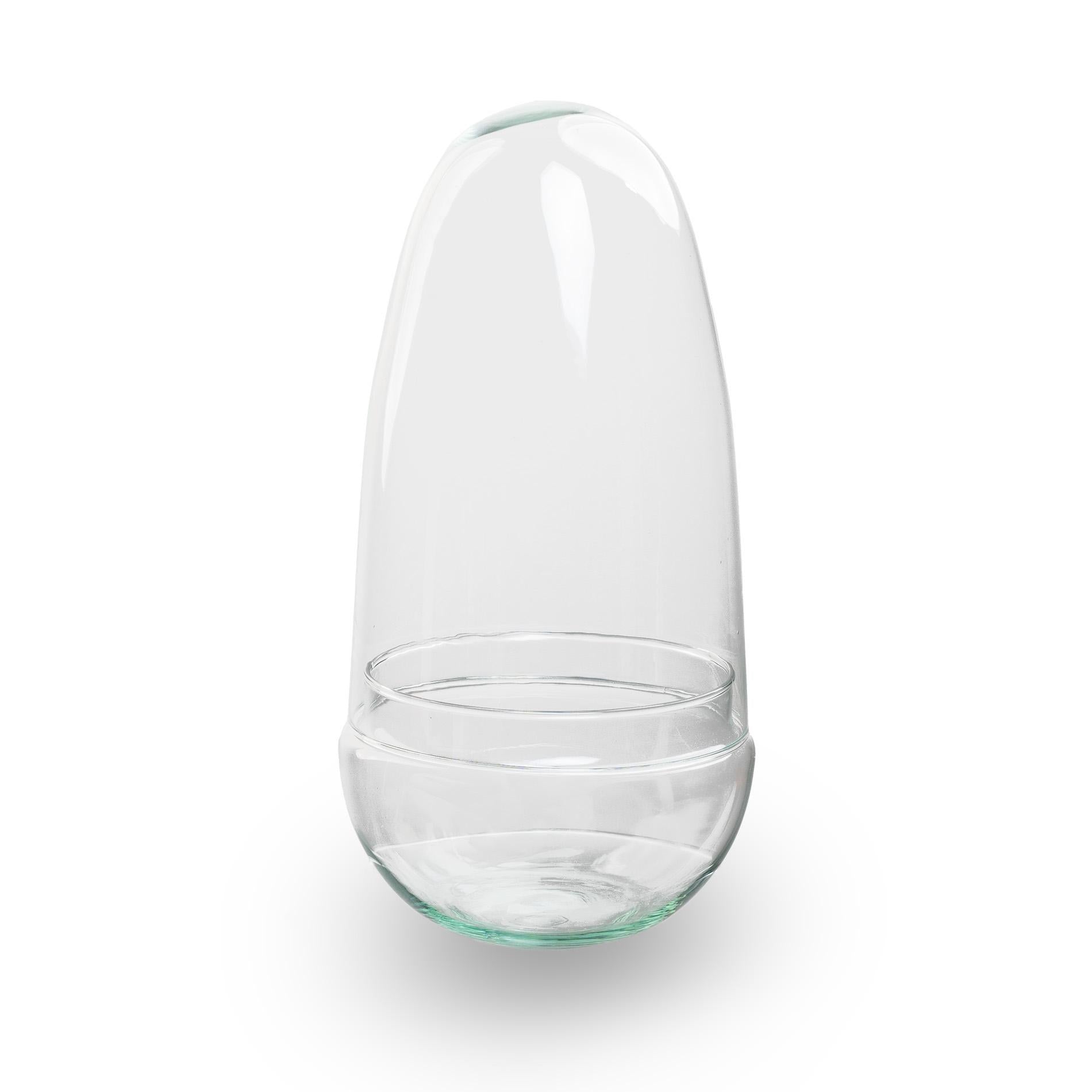 Geschlossenes Terrarium – Glaskuppel – Eiförmig – ↑ 25 cm