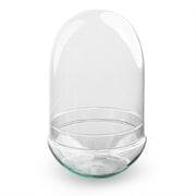 Terrariumflasche – Ei XL – ↑ 30 cm – Flaschengarten