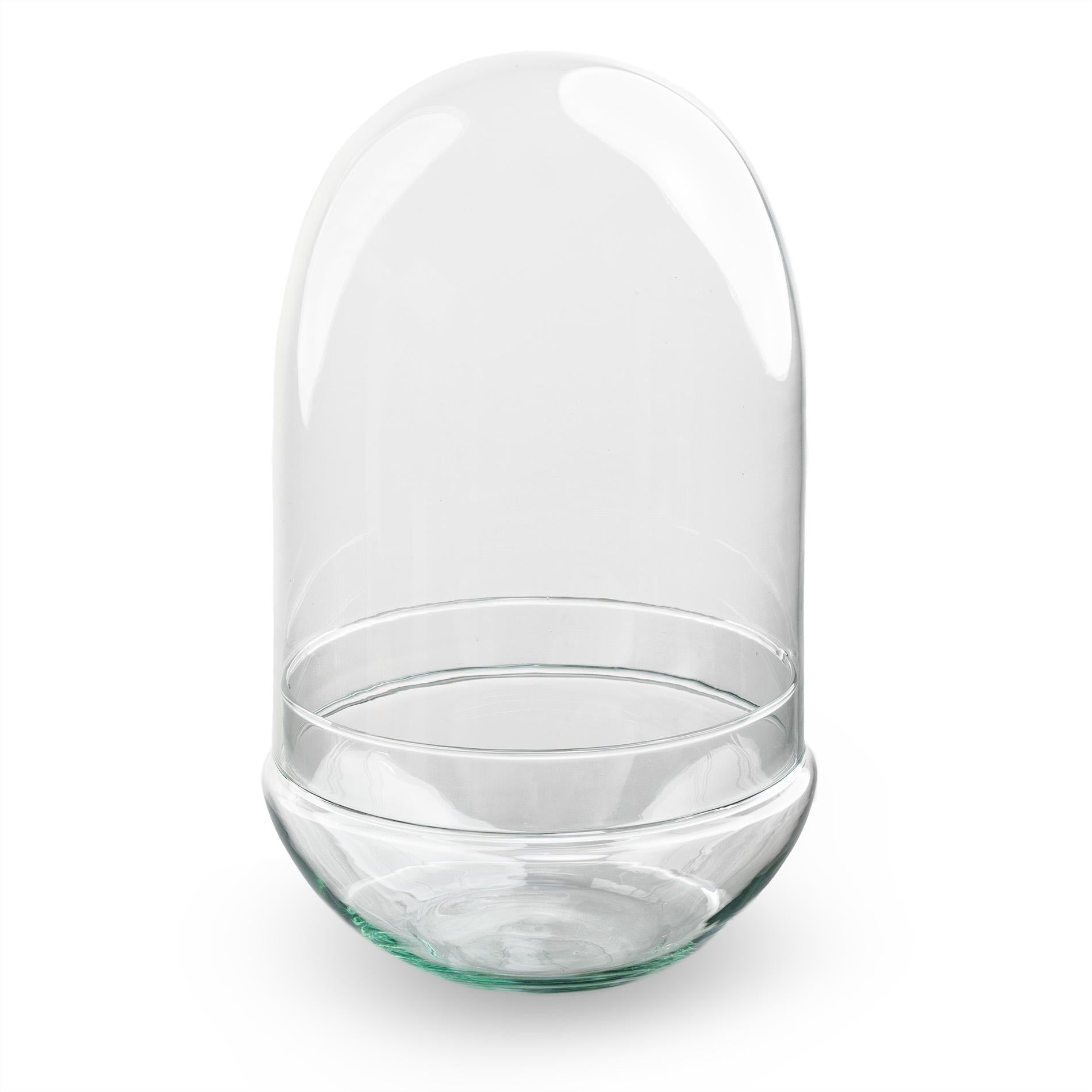 Terrariumflasche – Ei XL – ↑ 30 cm – Flaschengarten