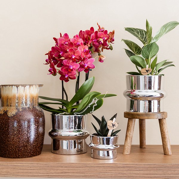 Kolibri Home | Chrome sierpot - Ø6cm