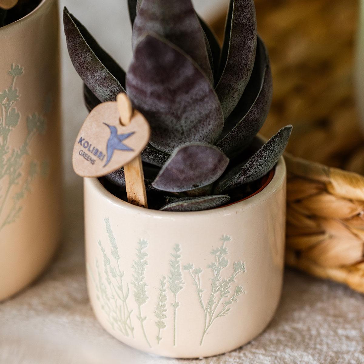 Kolibri Home | Pot de fleurs fleuri - Bleu clair - 6 cm