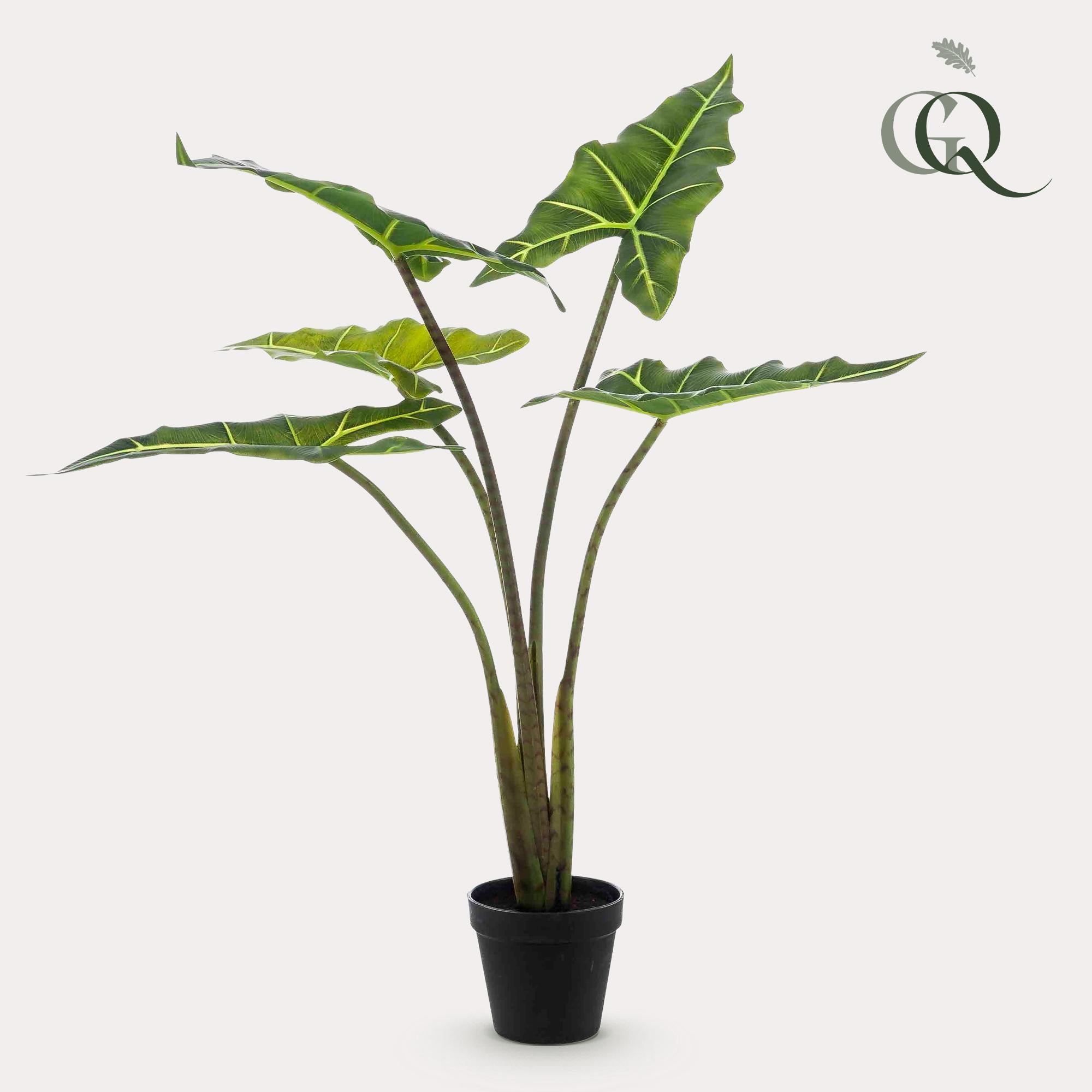 Artificial plant - Alocasia Frydek - Elephant Ear - 80 cm