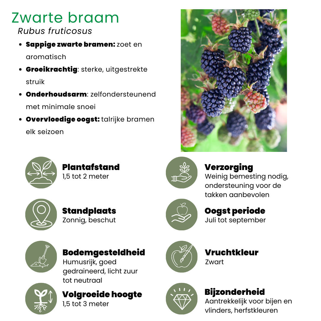Biologische Fruitplanten mix set van 3 verschillende soorten
