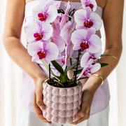 Kolibri Home | Dekorativer Mohnblumentopf – Rosa – Ø 9 cm