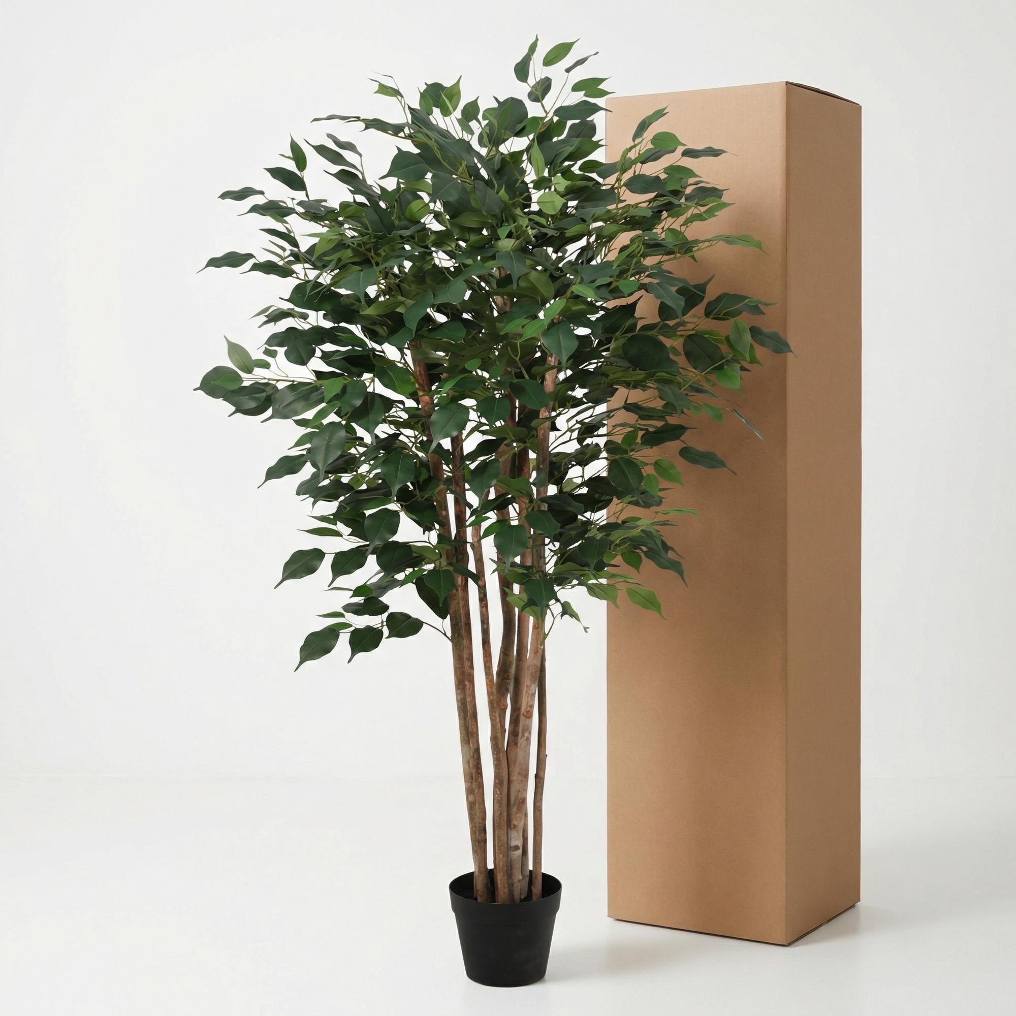 Kunstplant - Ficus Benjamina - 150cm