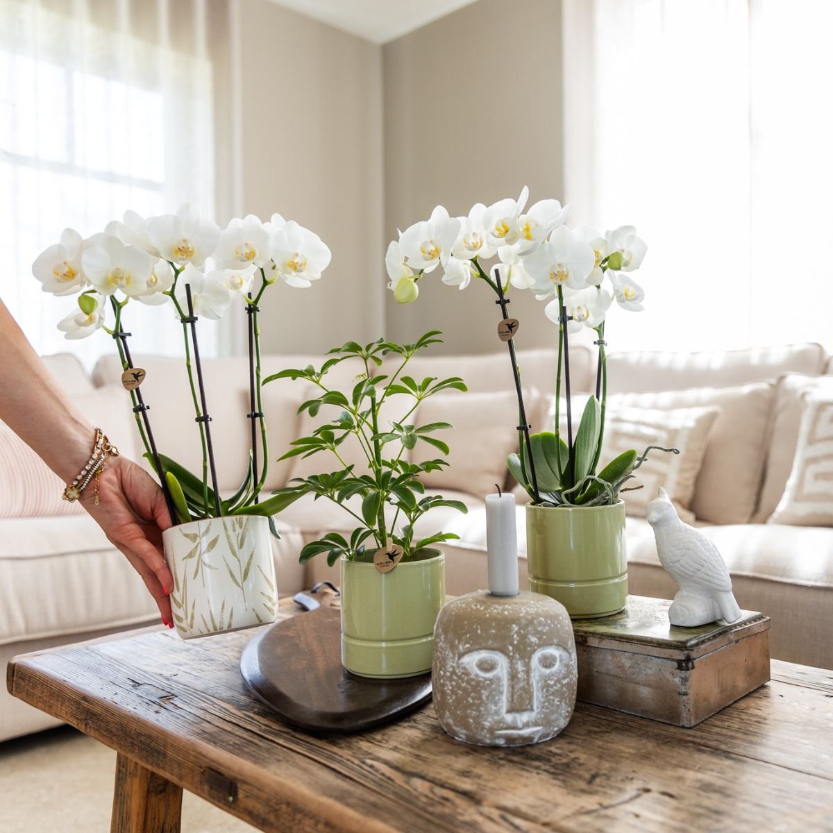 Kolibri Home | Pastel sierpot - Groen