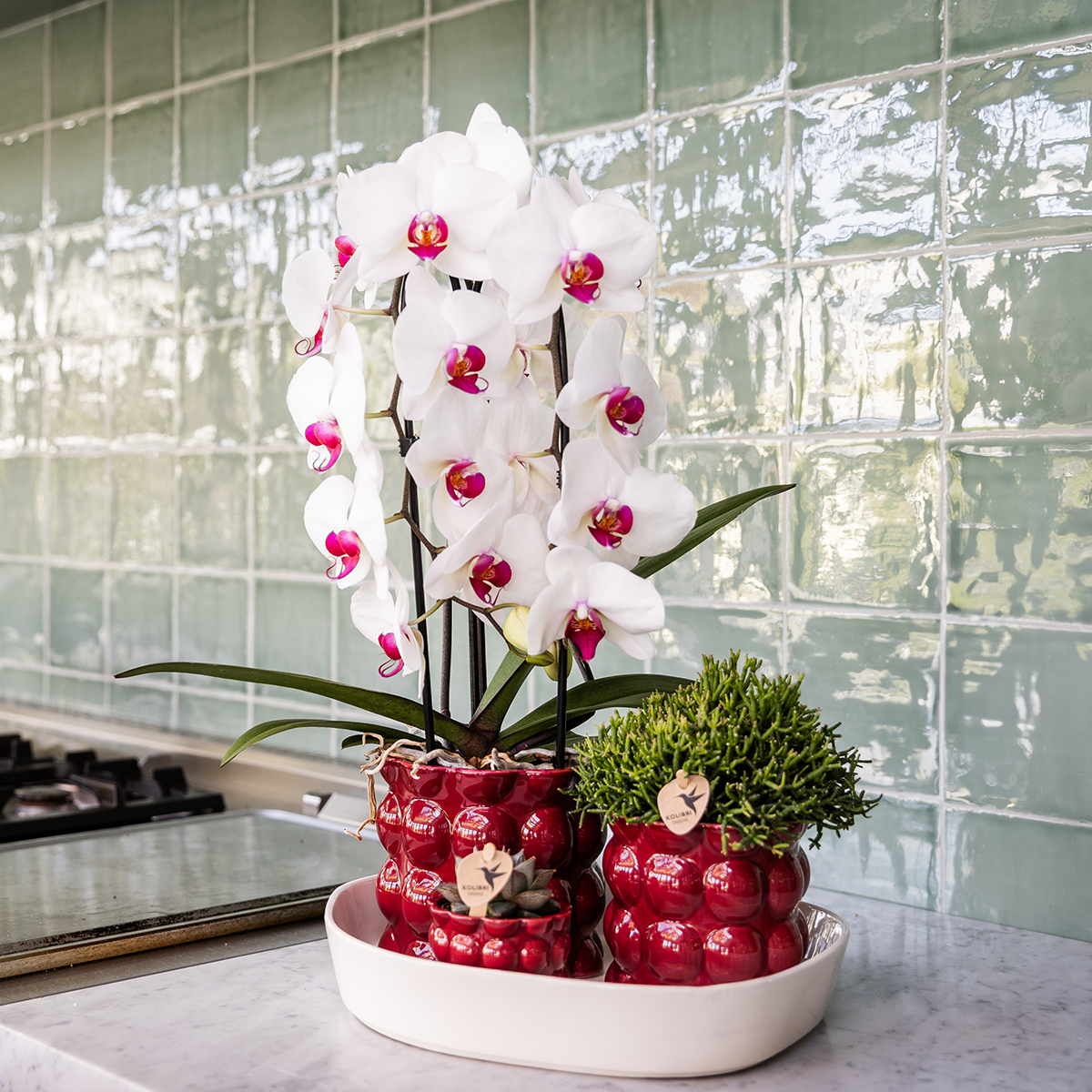 Kolibri Home | Cotton Shine sierpot - Red - Ø12cm