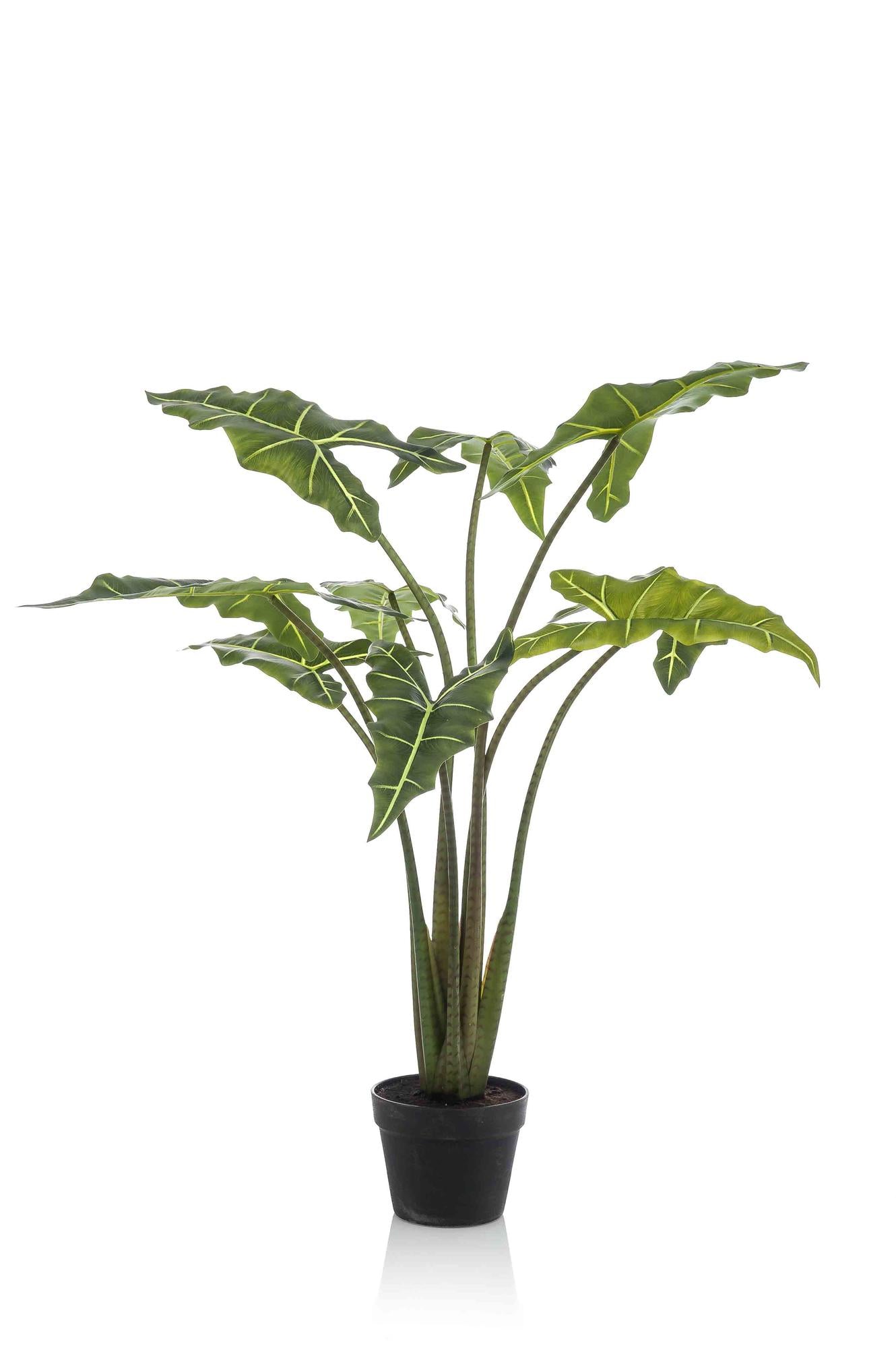 Planta artificial - Alocasia Frydek - Oreja de elefante - 120 cm