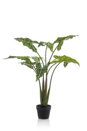 Planta artificial - Alocasia Frydek - Oreja de elefante - 120 cm
