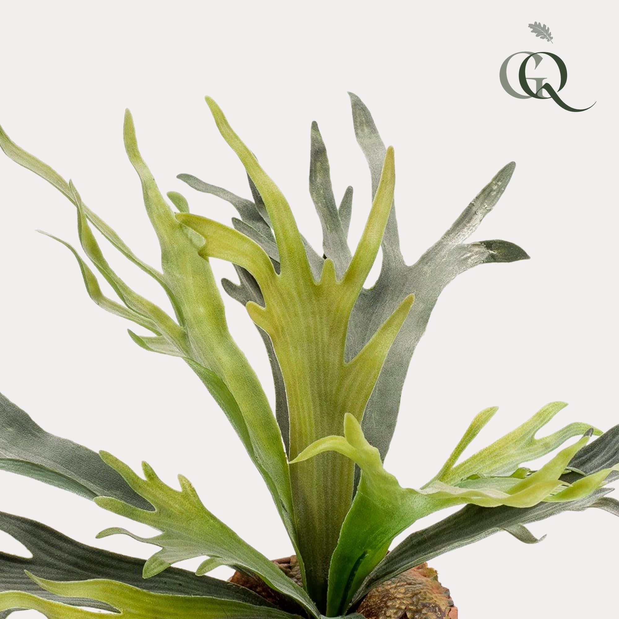Künstliche Pflanze – Geweihfarn – 50 cm
