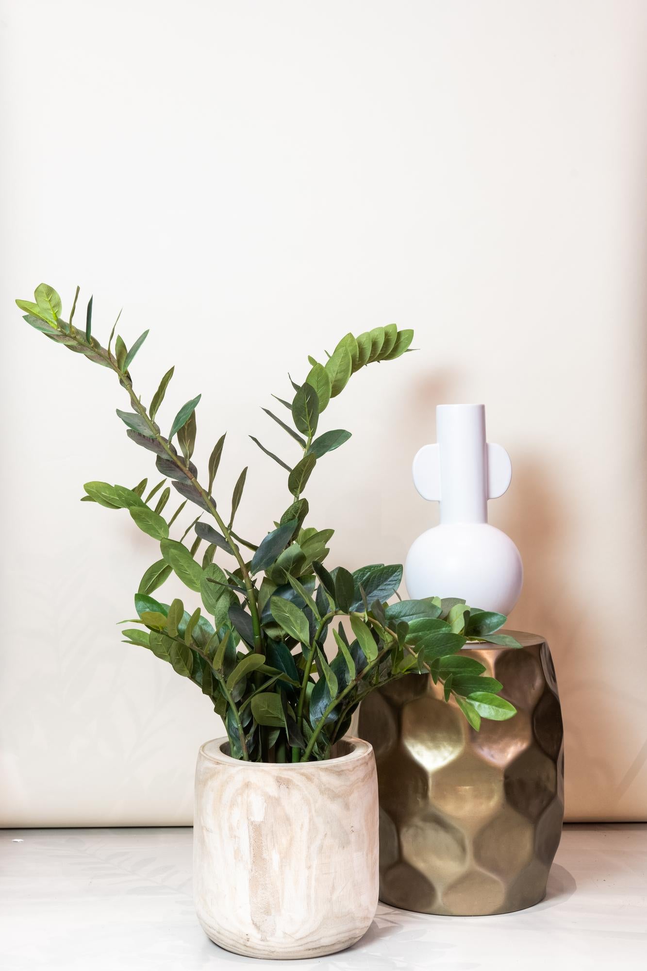 Planta artificial - Zamioculcas - Palmera de interior - 110 cm