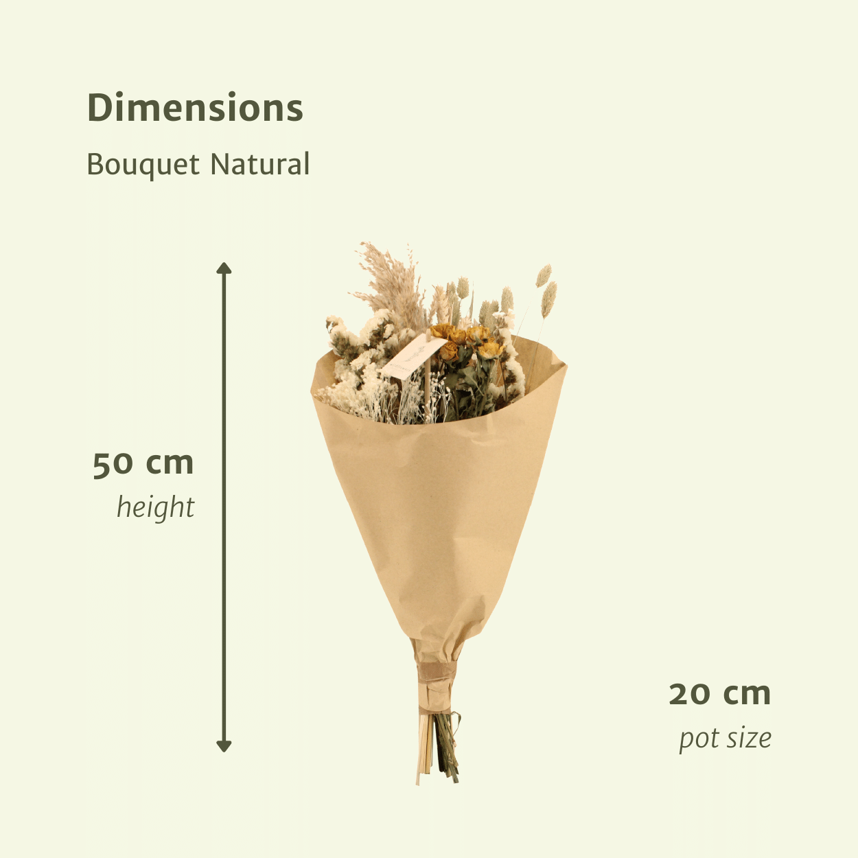 Bouquet de fleurs séchées naturelles des champs - Ø20cm - ↕50cm