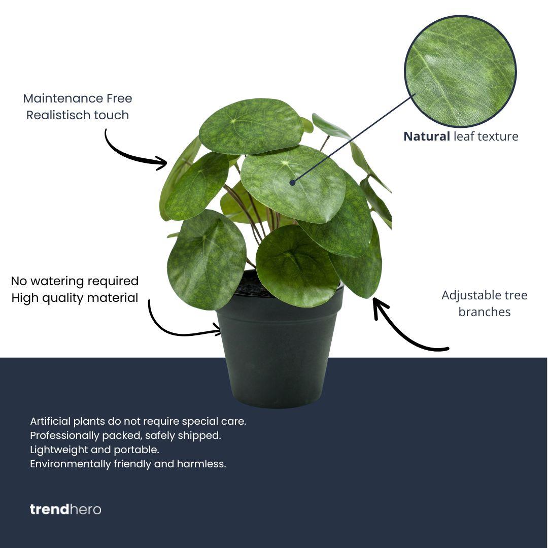 Pilea-Strauch, 25 cm, im schwarzen Topf – künstliche Pflanze