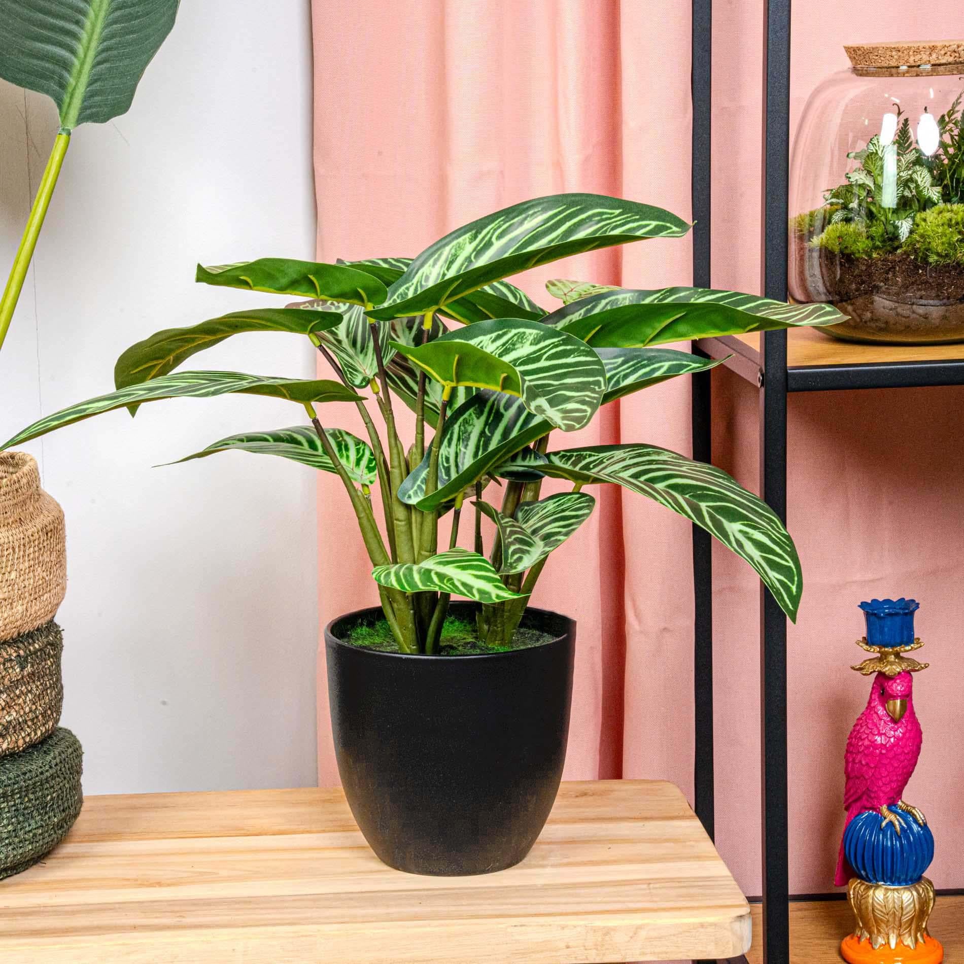 Calathea Zebrina in vaso nero - altezza 42 cm - Pianta artificiale