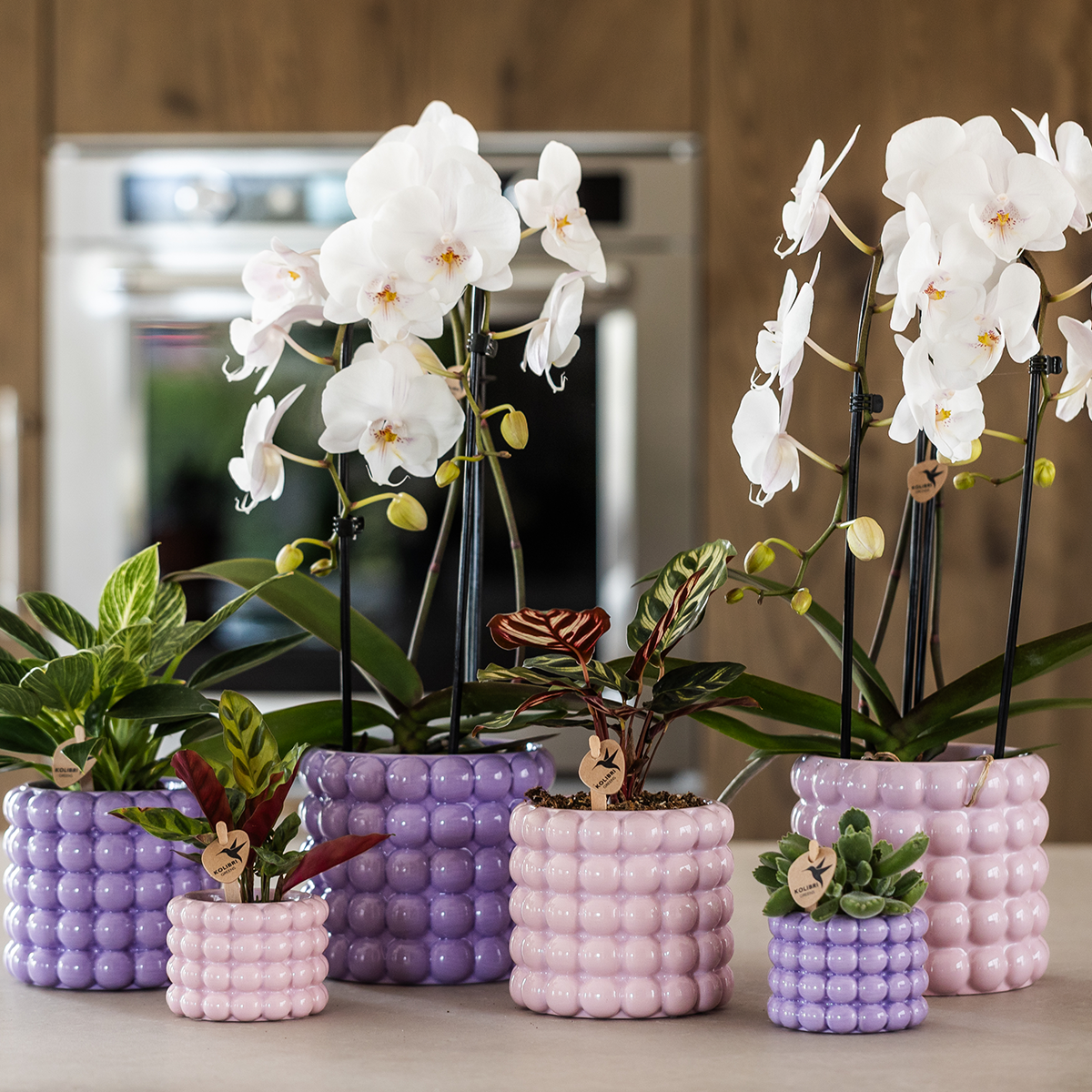 Kolibri Home | Poppy sierpot - Pink - Ø12cm