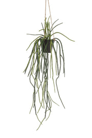 Pianta artificiale - Rhypsalis - Cactus corallo - 85 cm