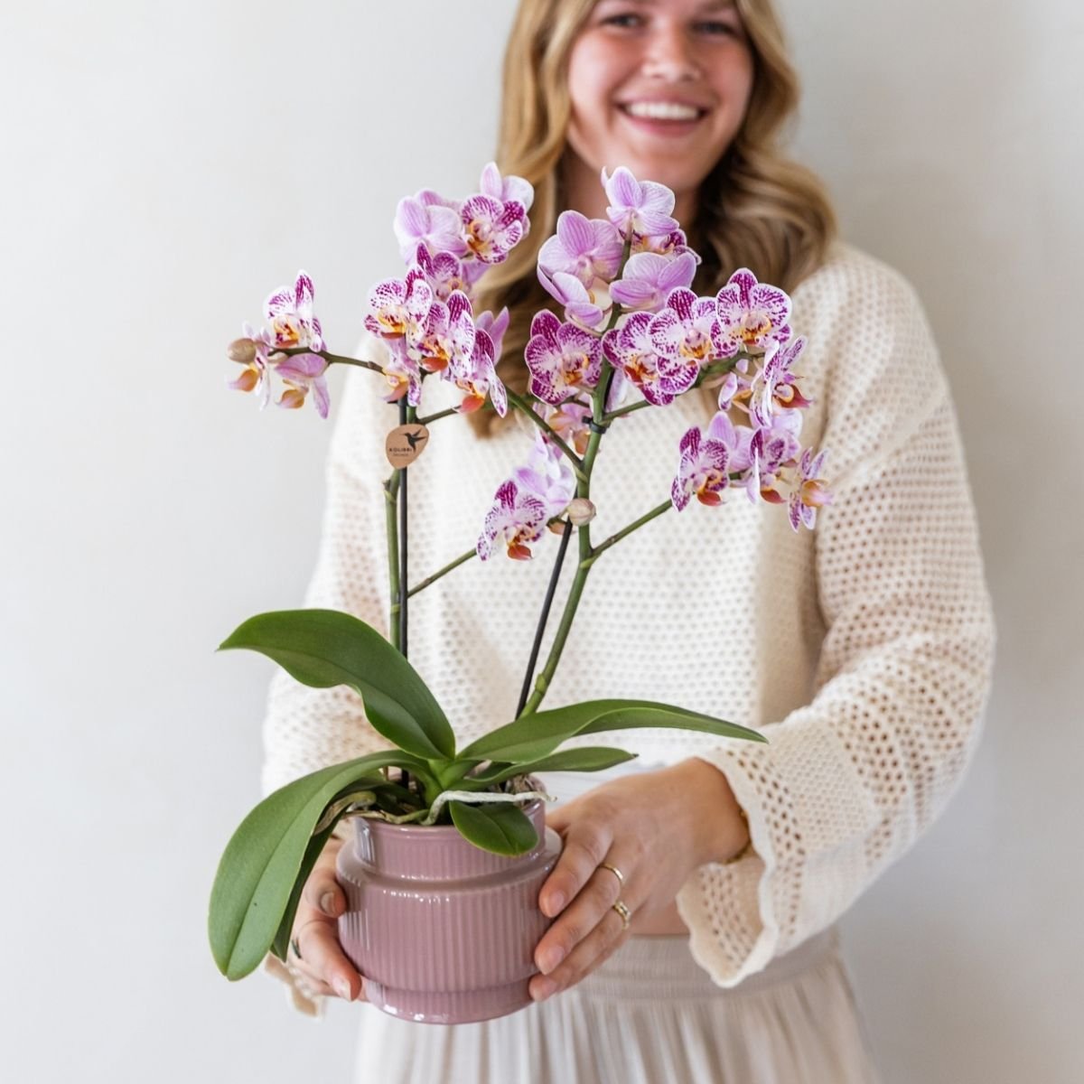 Kolibri Orchids | Combi Deal - 2 Roze-Paarse Phalaenopsis Orchideeën Diamond Bora Bora - Ø9 cm