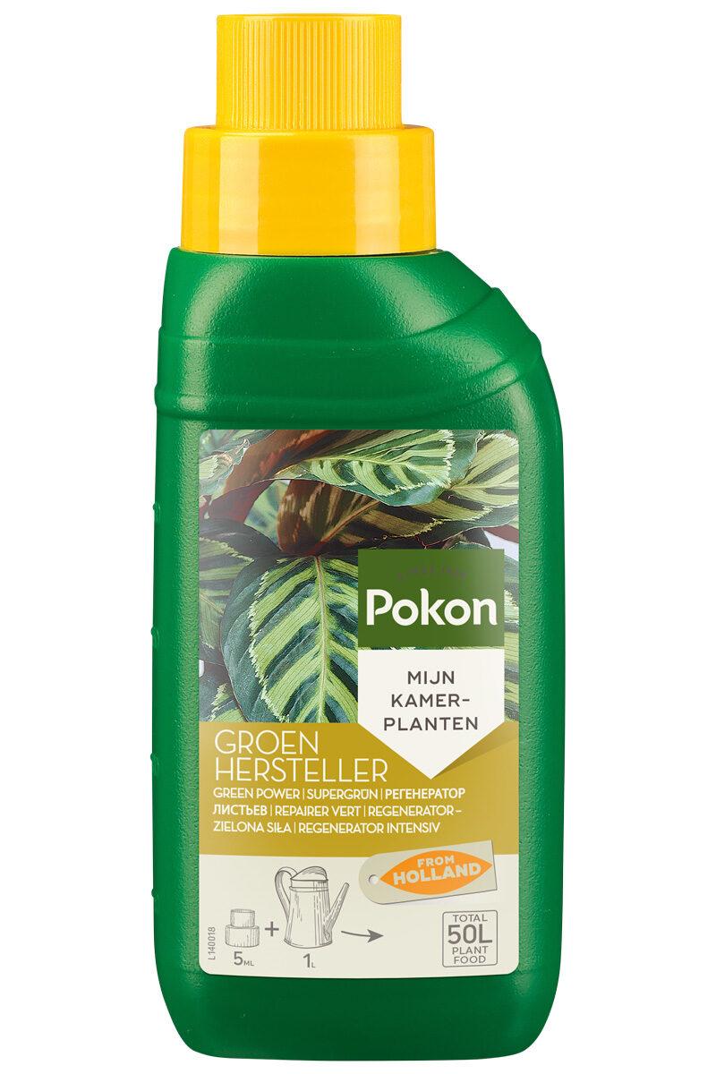 Grüner Regenerator – 250 ml