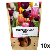 10 Beutel Tulpenzwiebelmischung à 20 Stück | KH Bloembollen® | Farbenfrohe Tulpenmischung – Ideal für Garten oder Topf – Größe 11/12 – Frisch vom Züchter