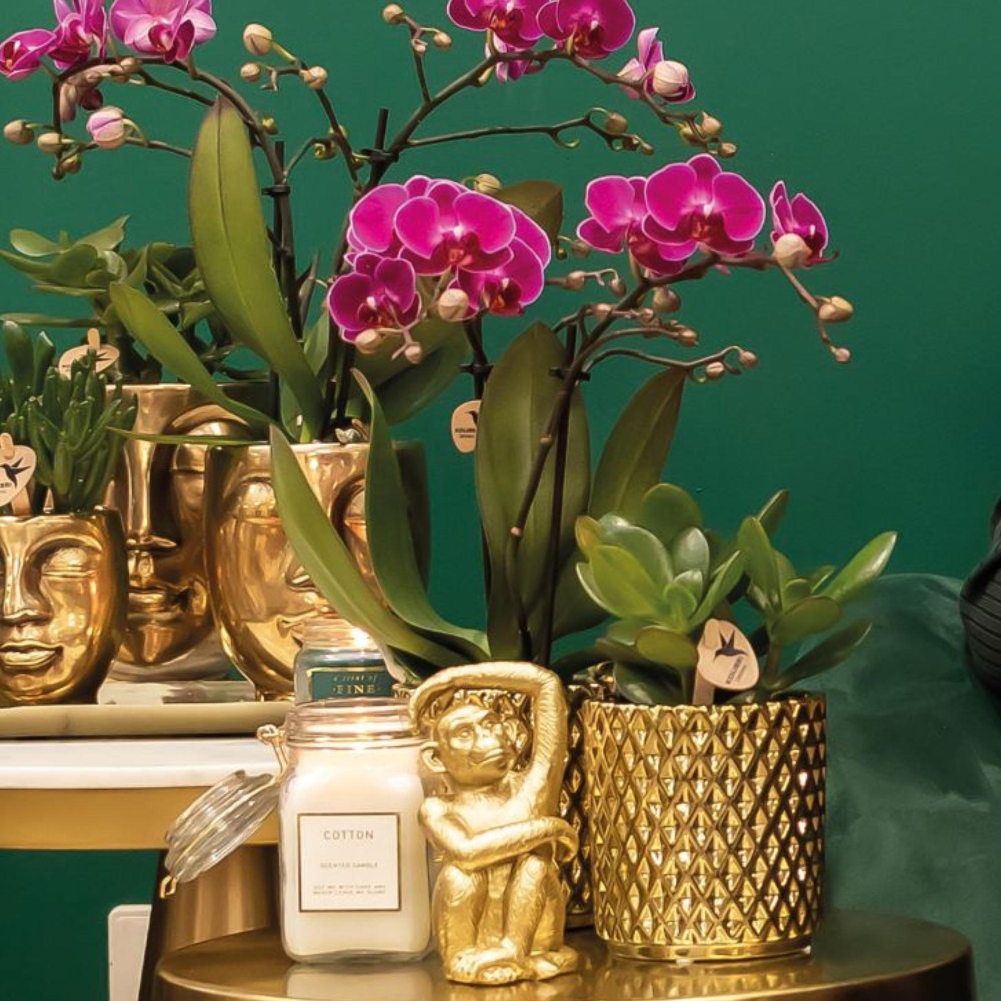 Kolibri Home | Metallic diamond flowerpot - Gold ceramic decorative pot Ø9cm