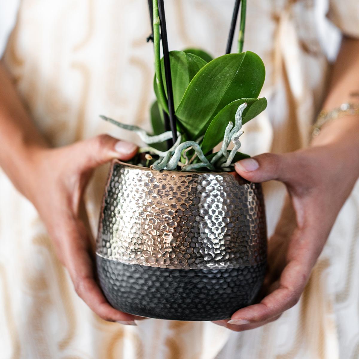 Kolibri Home | Elite pot copper  - Ø9cm