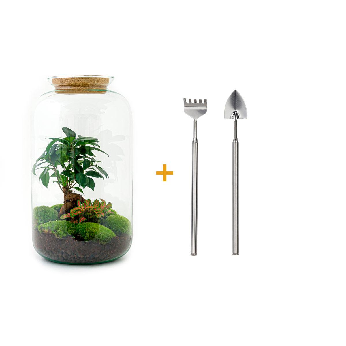 Terrario fai da te - Sven Bonsai - ↕ 43 cm - Rastrello + Pala