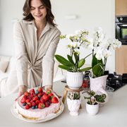 Kolibri Home | Grenade - Rose - Ø6cm