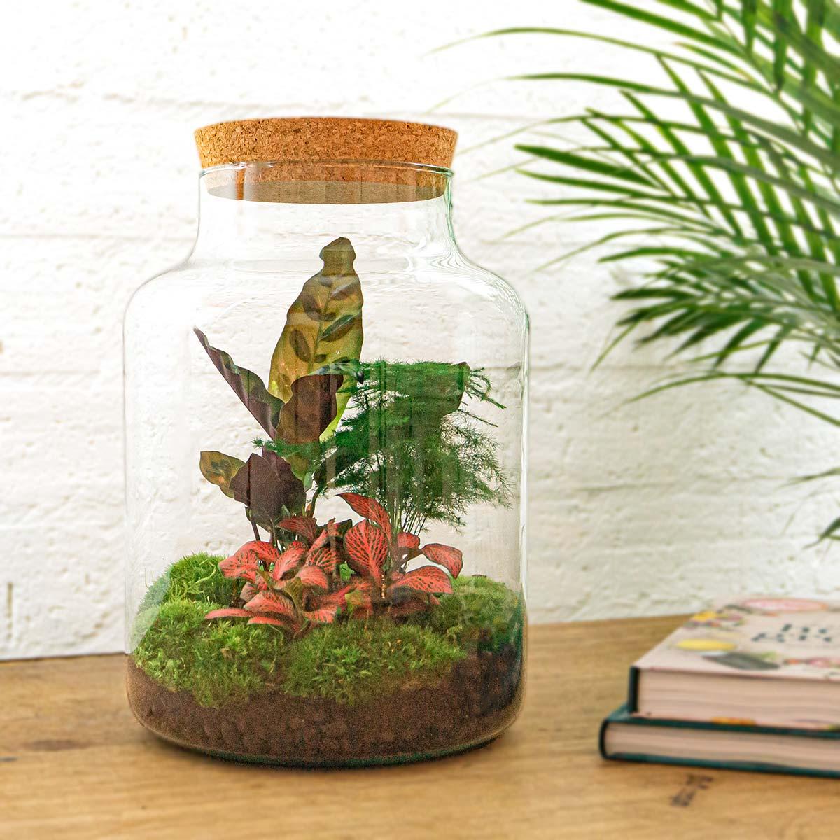 DIY-Terrarium - Milchig - ↕ 30 cm - Rechen + Schaufel