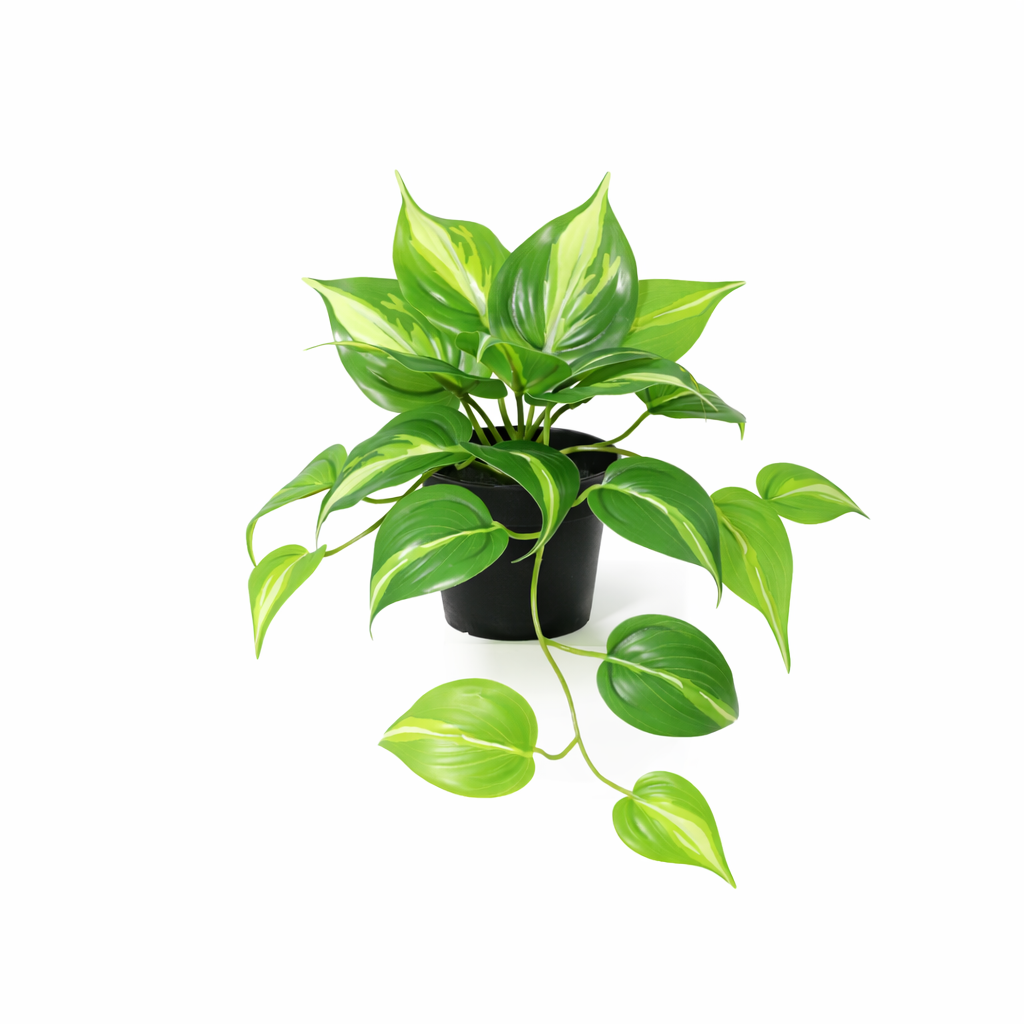 Kunstplant Epipremnum Variegata - 23cm