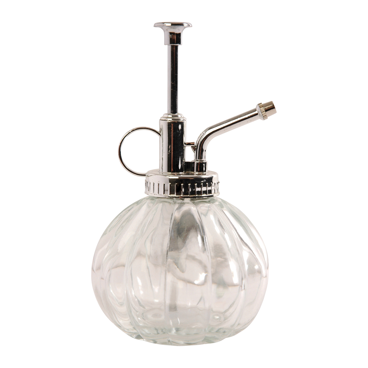 Spruzzatore per piante trasparente/argento - Vetro - L 8,8 x P 8,8 x A 15,4 0,25 litri