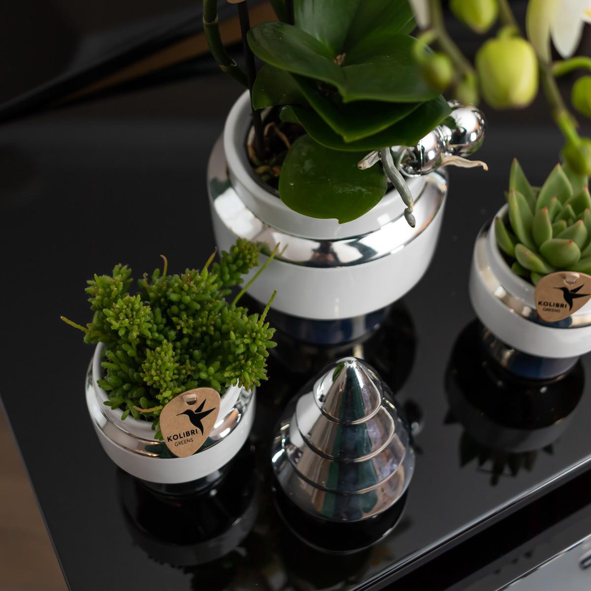 Kolibri Home | Le Chic flowerpot - White ceramic decorative pot with silver details - Ø9cm