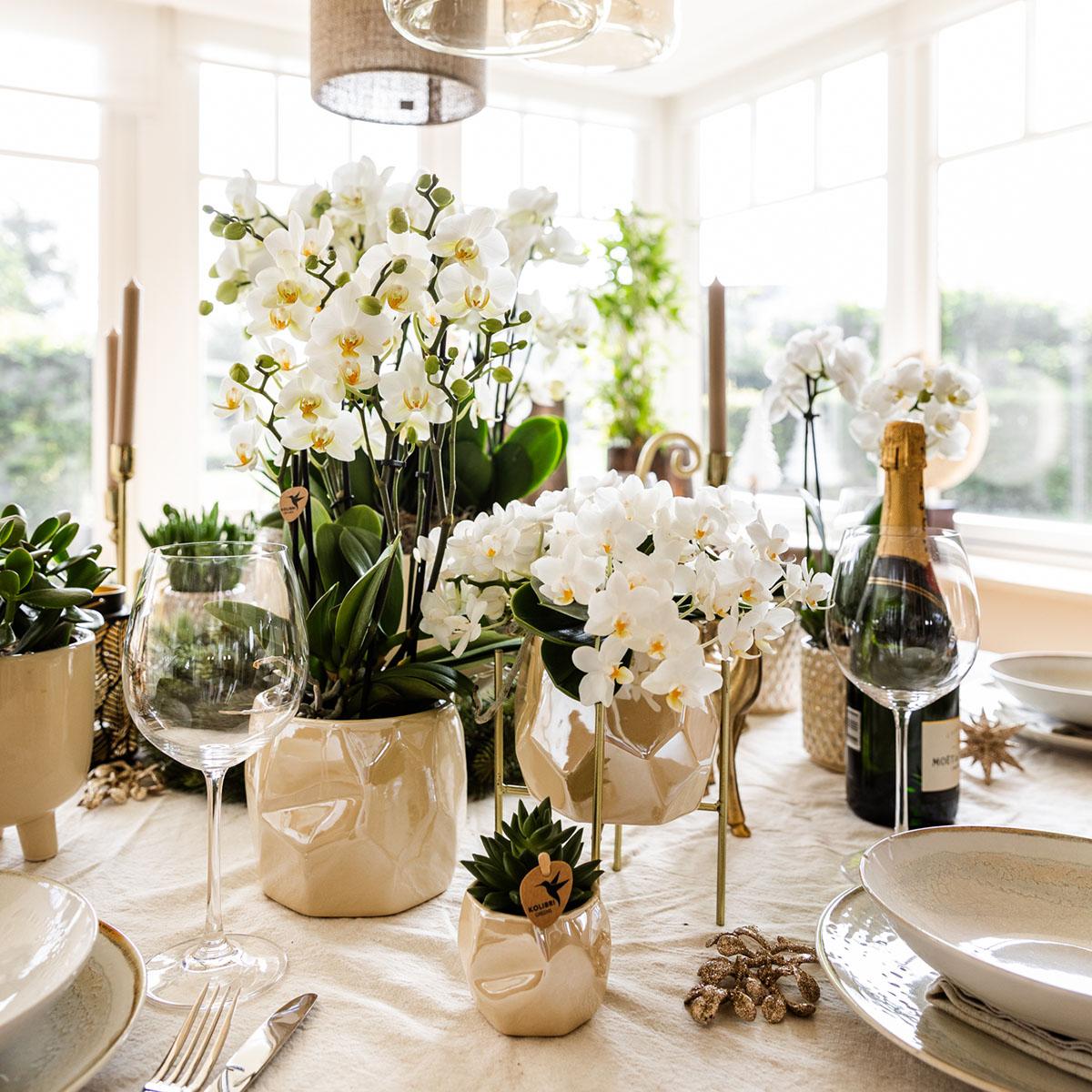 Kolibri Home I Vaso Pearl - Travertino - Ø12cm