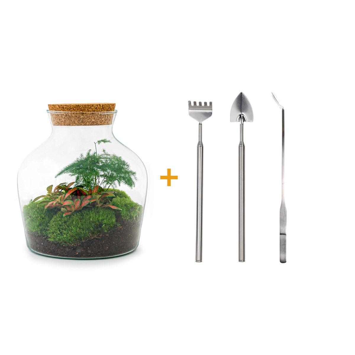 DIY terrarium - Little Joe - ↕ 21.5 cm - Rake + Shovel + Tweezer