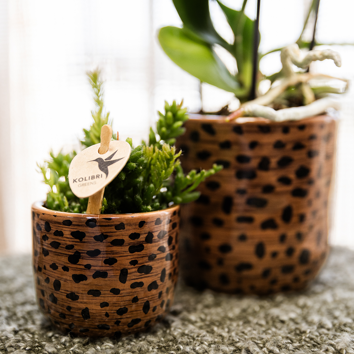 Kolibri Home | Dekorativer Leoparden-Übertopf – Ø 6 cm