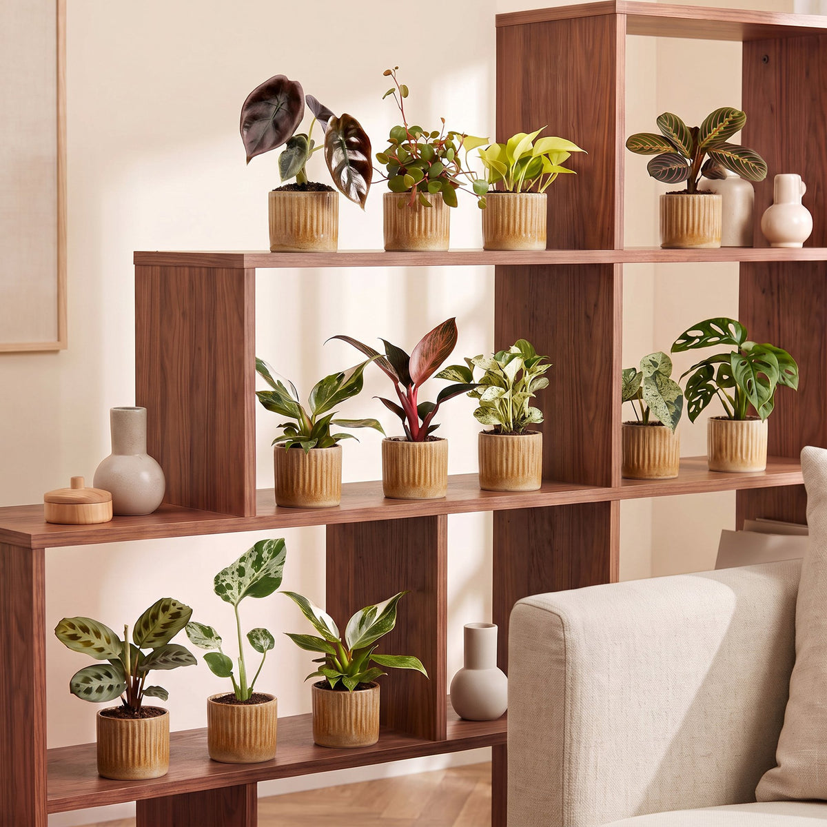 Baby Plants Surprise Box 12x - Verrassingsbox kleine planten - Diversen - Tropisch - incl. Linnea Honey - Ø6cm - ↕5-15cm