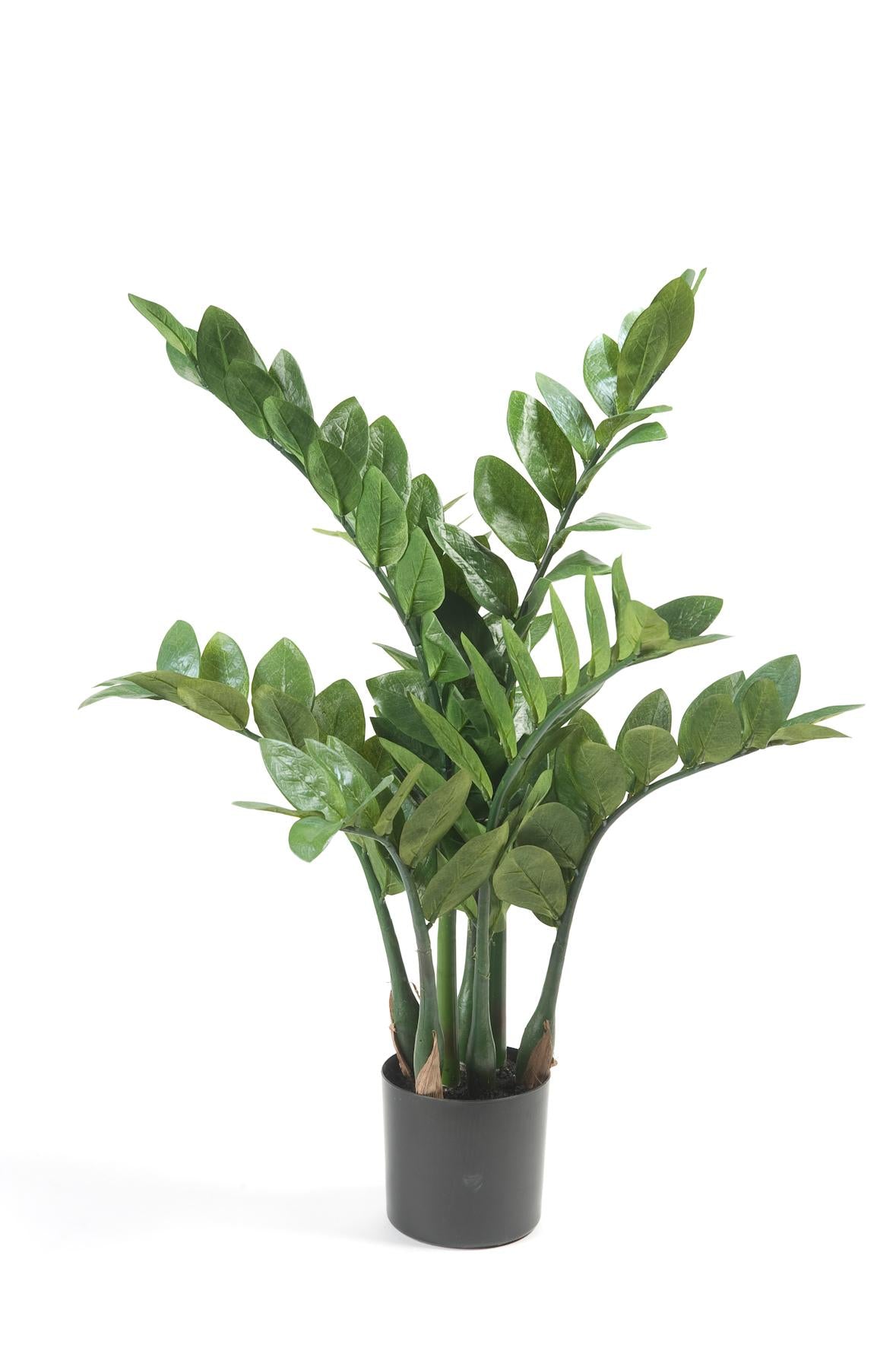 Artificial plant - Zamioculcas - Indoor palm - 70 cm