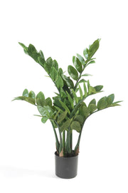 Artificial plant - Zamioculcas - Indoor palm - 70 cm