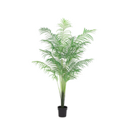 Kunstplant - Kentia palm - 170cm
