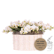 Kolibri Orchids | Witte Jungle Bouquet Botanic Nazare in Oyster Dish